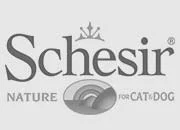 Schesir