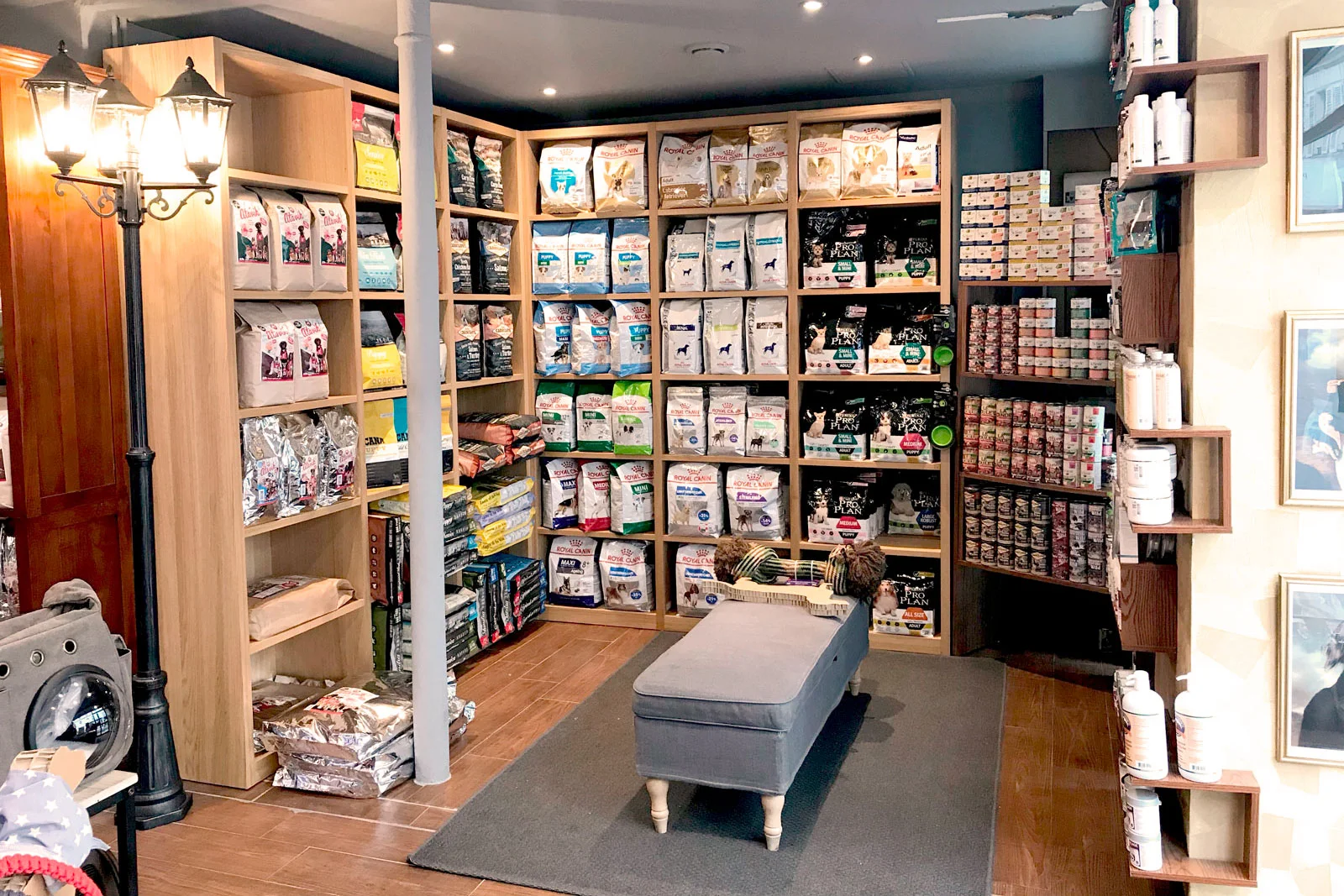 Alimentation croquettes au Paris Canin
