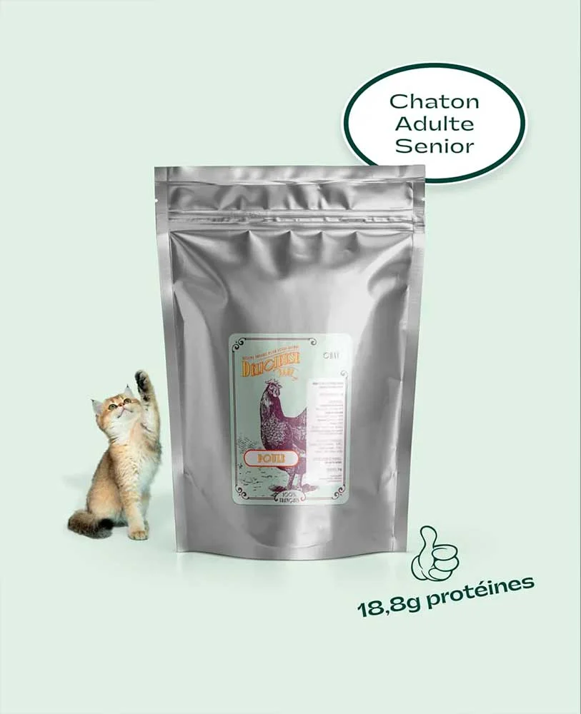 BARF Délicieuse chat Poule