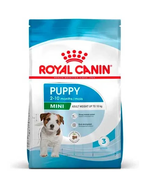 Mini Puppy
