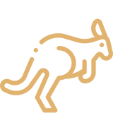 Kangourou Kangourou