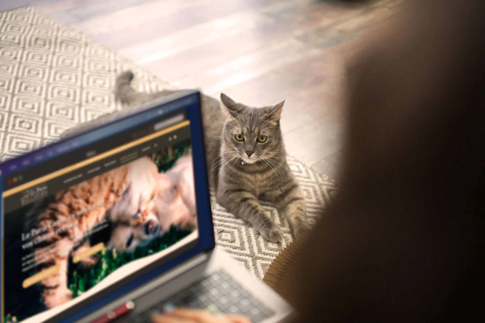 Boutique en ligne pour chiens et chats Le Barf Von au Paris Canin