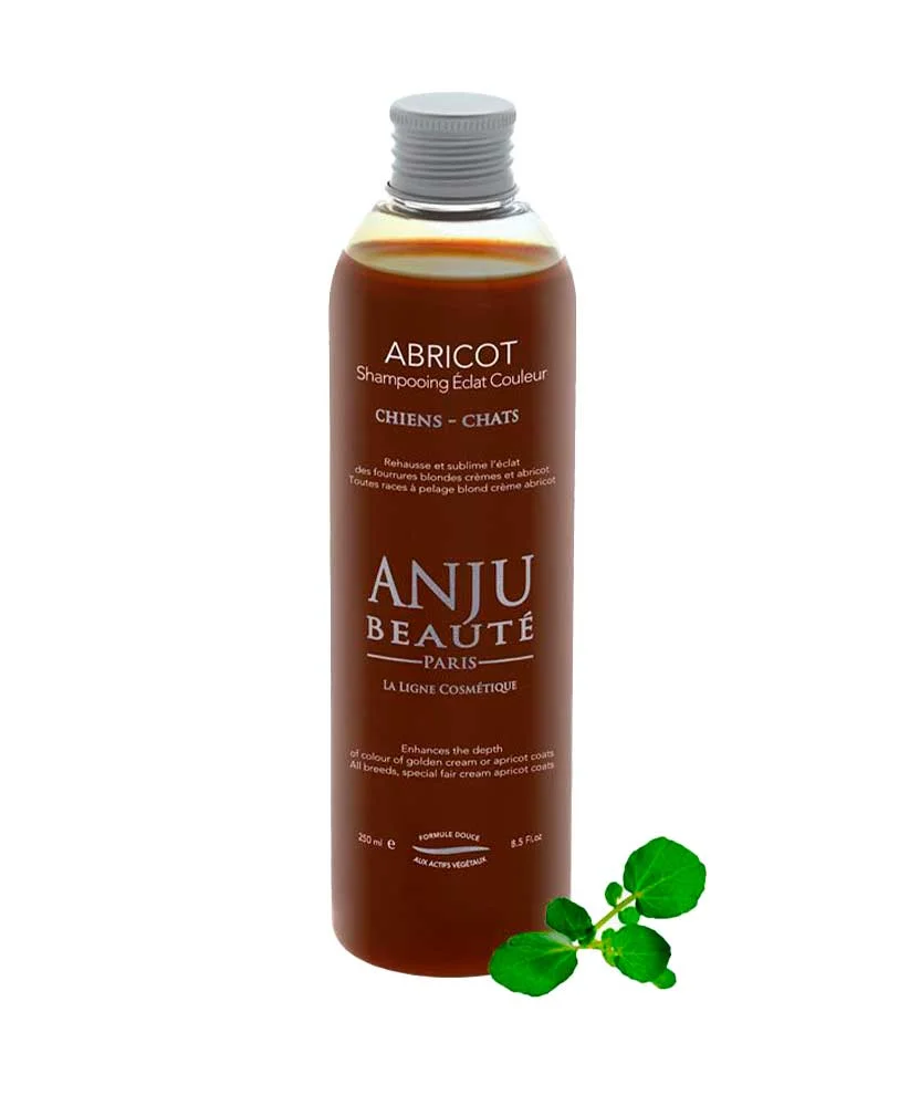 Shampoing Anju Beauté Abricot
