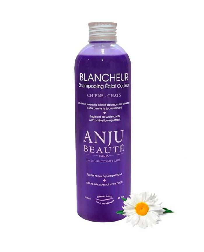 Shampoing Anju Beauté blancheur