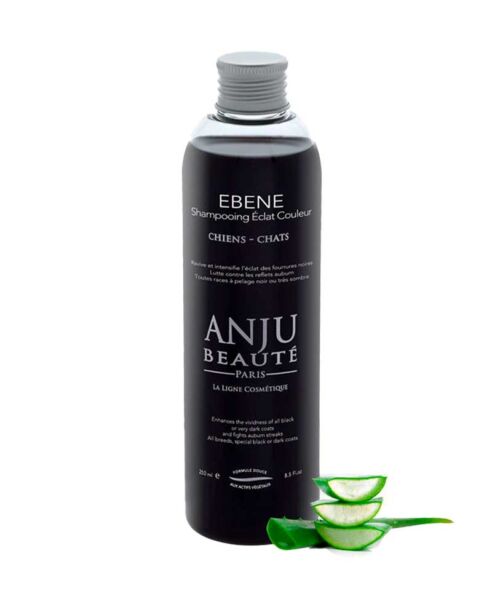 Shampoing Anju Beauté Ébène