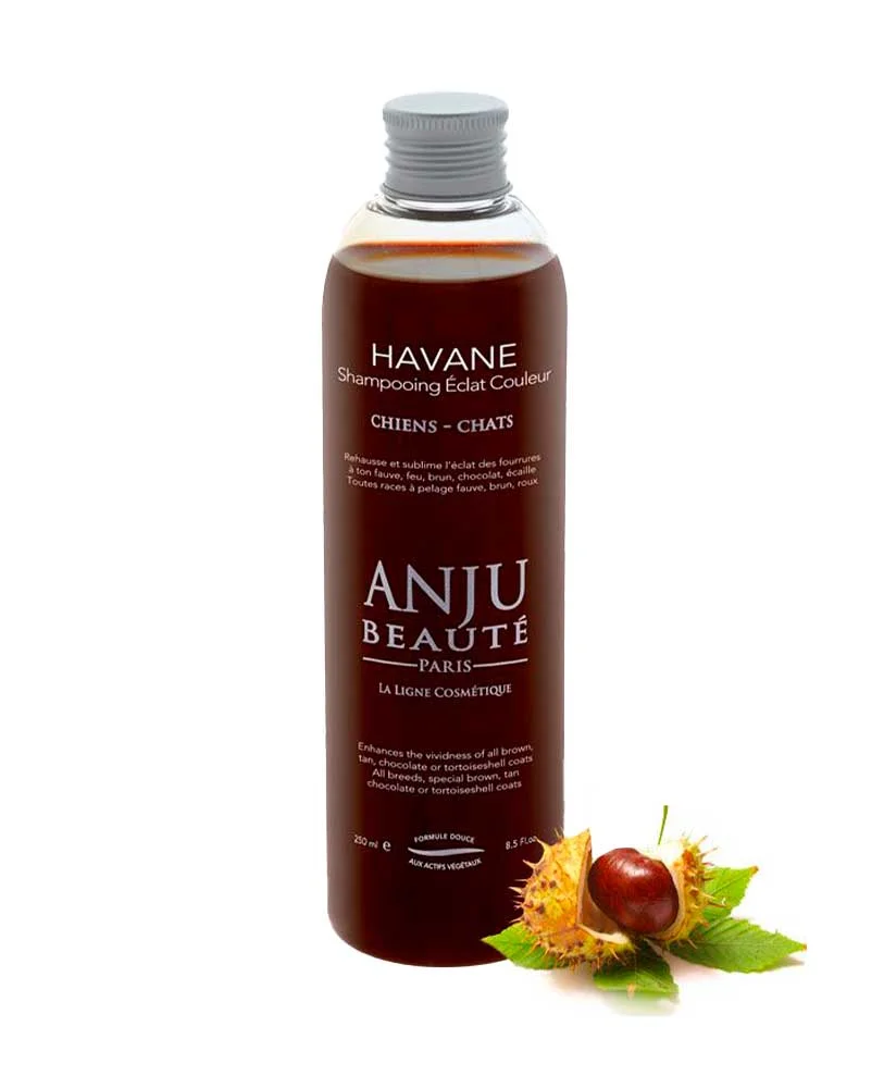 Shampoing Anju Beauté Havane