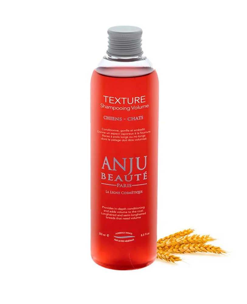 Shampoing Anju Beauté Texture