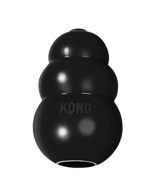 Jouet chien Kong Extreme