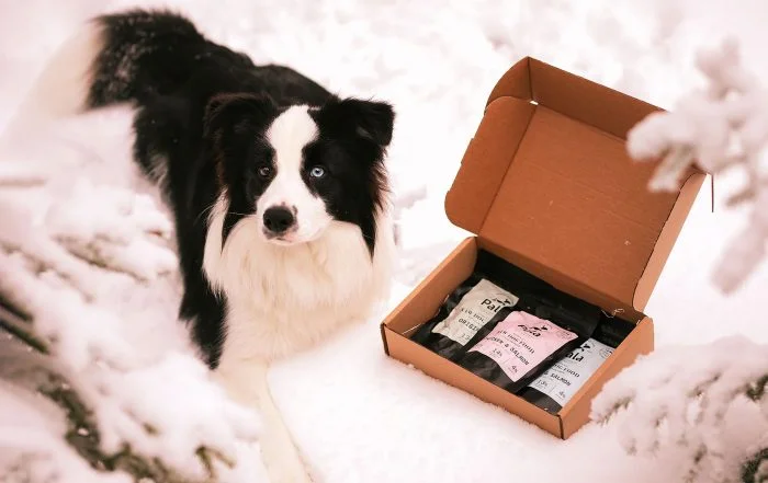 Nouveauté la marque de croquettes pour chiens Pala