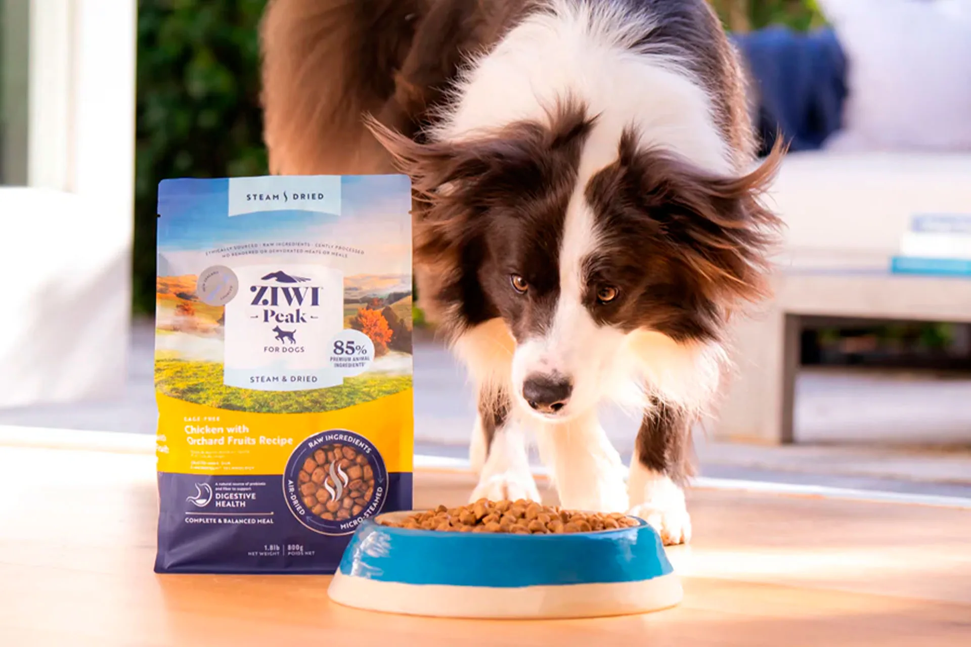 Nouveauté Ziwi Peak Ziwi Peak revient au Paris Canin