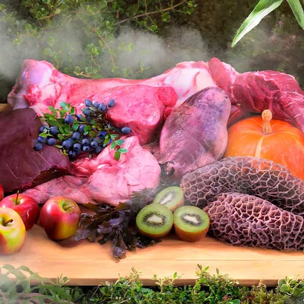 Recette de poulet aux fruits du verger